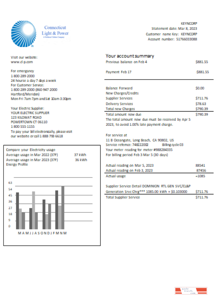 Connecticut Light & Power electricity utility business bill,  SCR PSD template